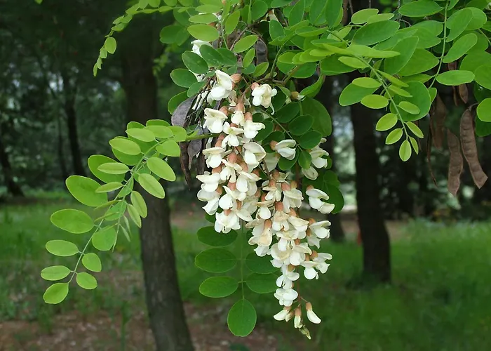 B&B&Residence Pozzo Misseo Matera